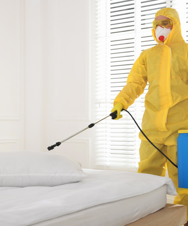 Professional Pest Control Team in Yatala Vale